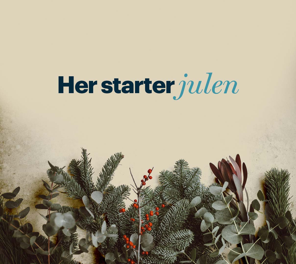 Juleprogram 2024 i Helsingør Bycenter